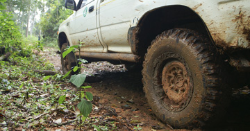 4WD & Offroad